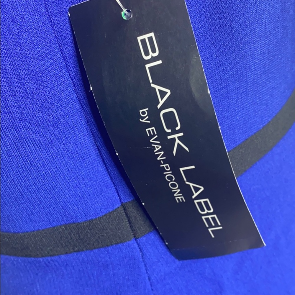 BLACK LABEL BY EVAN-PICONE SLEEVLESS DRESS - Picture 4 of 6